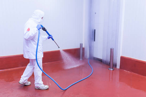 Best Pre-Holiday Cleaning  in Belmont, CA